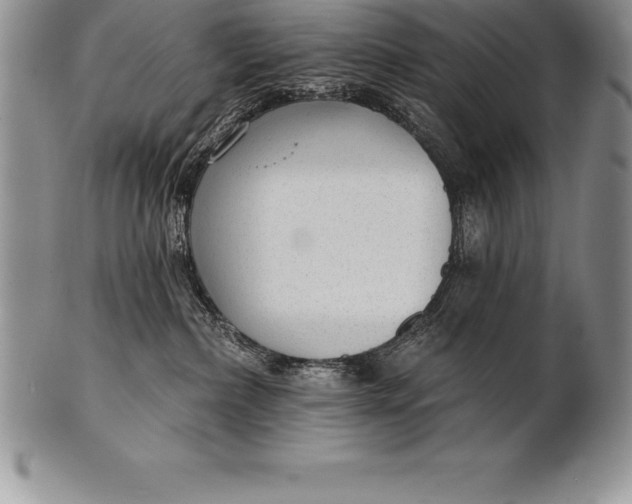 X0000100410236200806201806