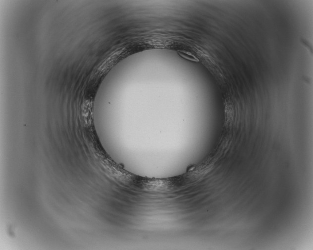 X0000100410237200806201806