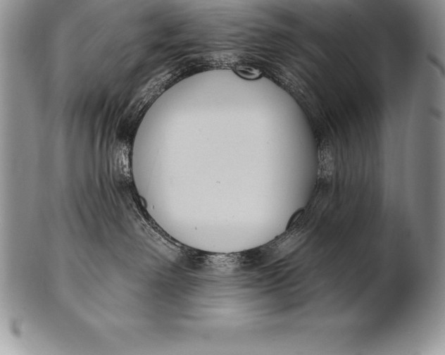 X0000100410238200806201806