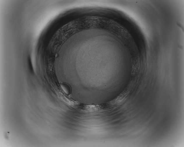 X0000100410239200806201806