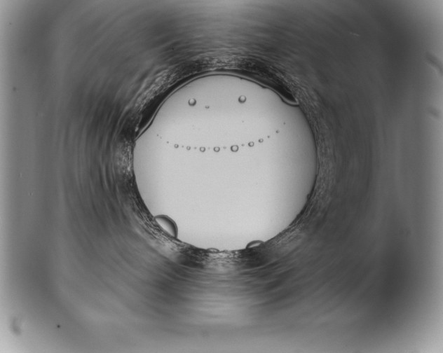 X0000100410240200806201806