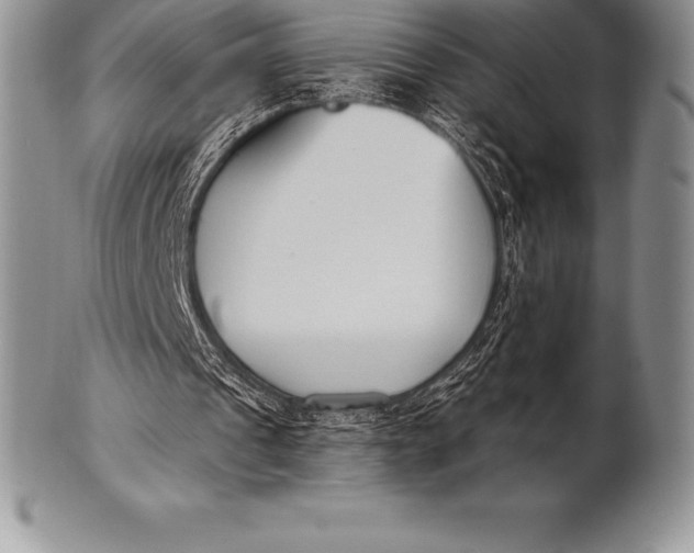 X0000100410241200806201805