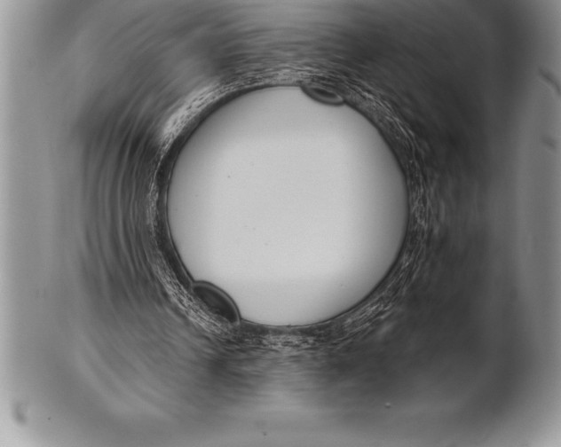 X0000100410242200806201805