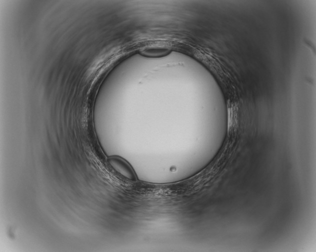 X0000100410243200806201805