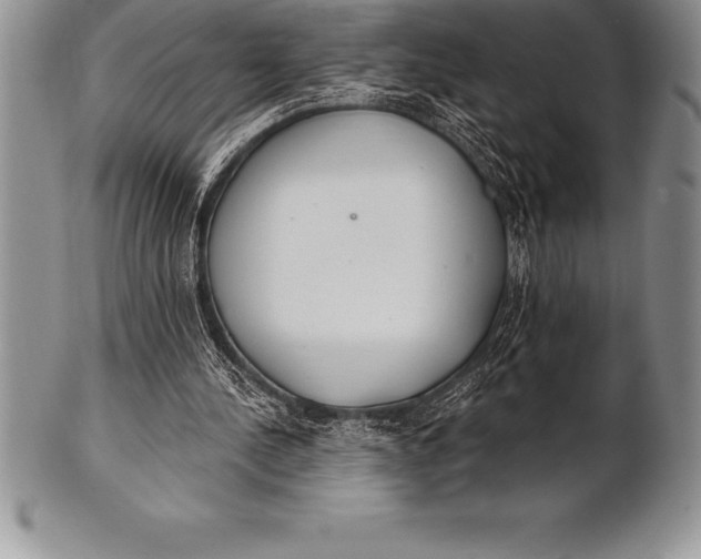 X0000100410244200806201805