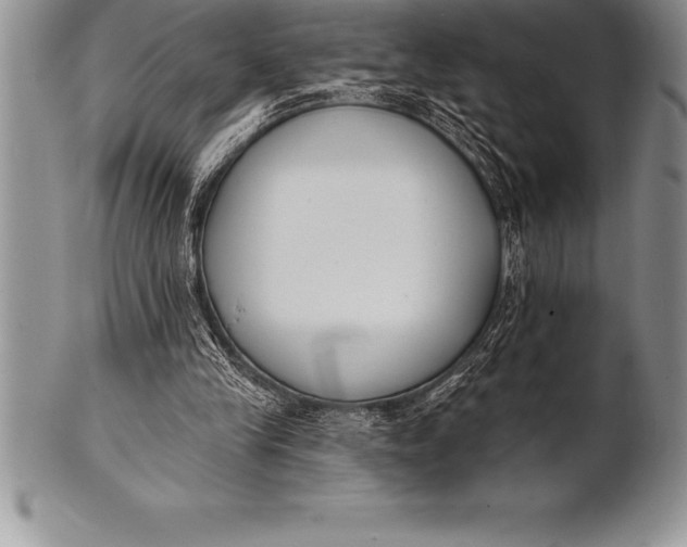 X0000100410245200806201805