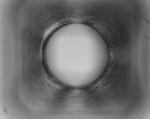 X0000100410246200806201805