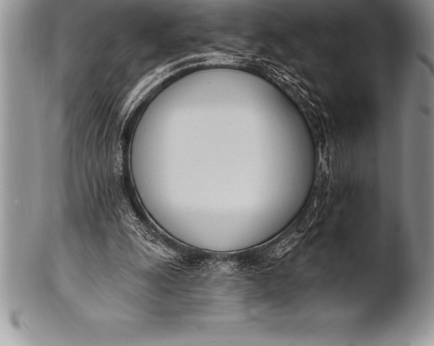 X0000100410247200806201805