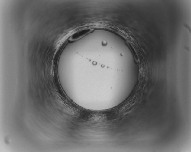 X0000100410248200806201805