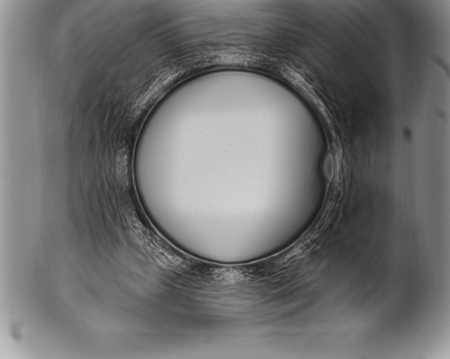 X0000100410249200806201805