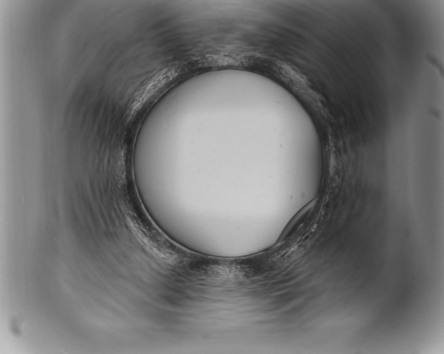 X0000100410250200806201805