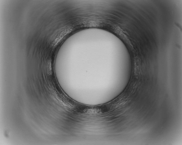 X0000100410251200806201805