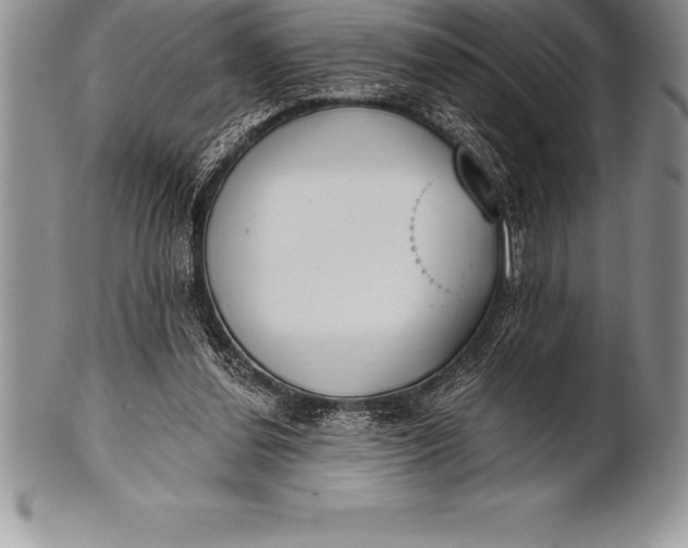 X0000100410252200806201805