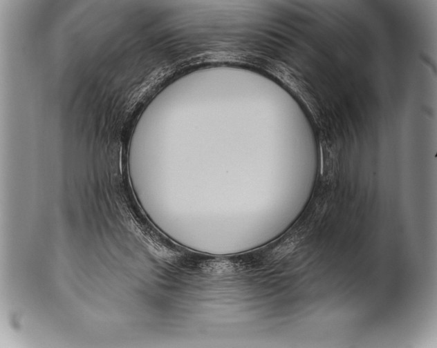 X0000100410253200806201805