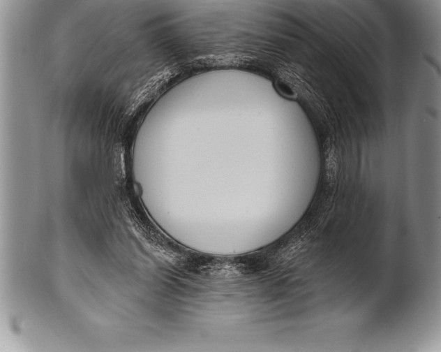 X0000100410254200806201805