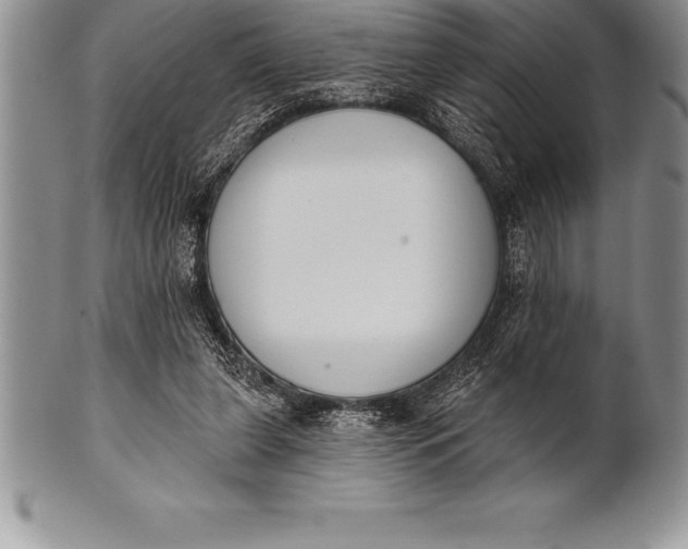 X0000100410255200806201805