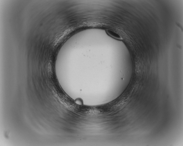 X0000100410256200806201805