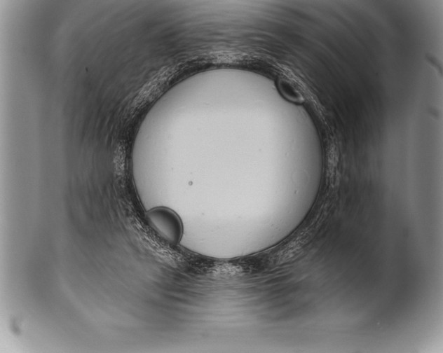 X0000100410257200806201805