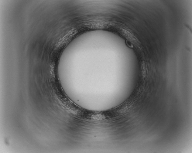 X0000100410258200806201805