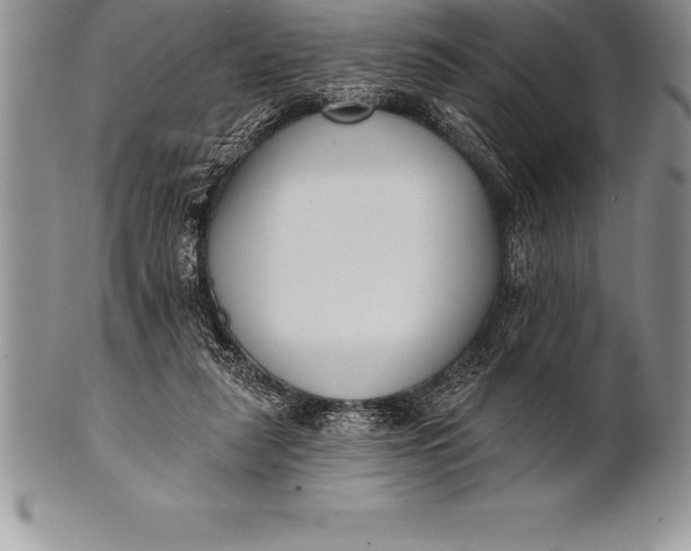 X0000100410259200806201805