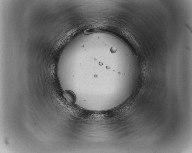 X0000100410260200806201806