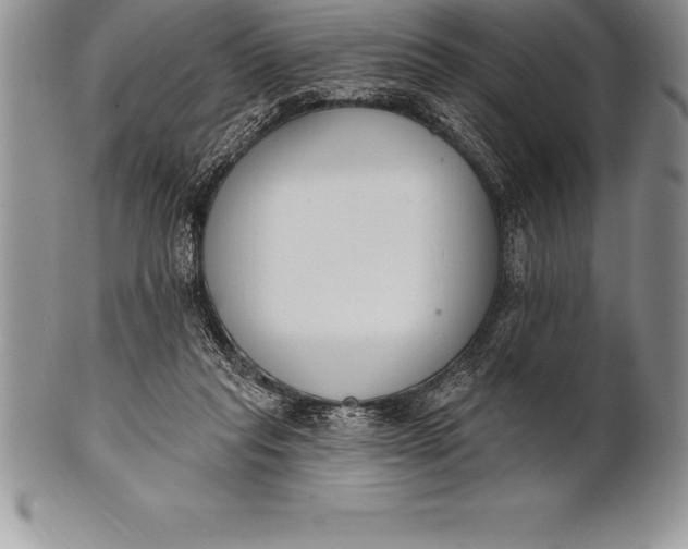 X0000100410261200806201806