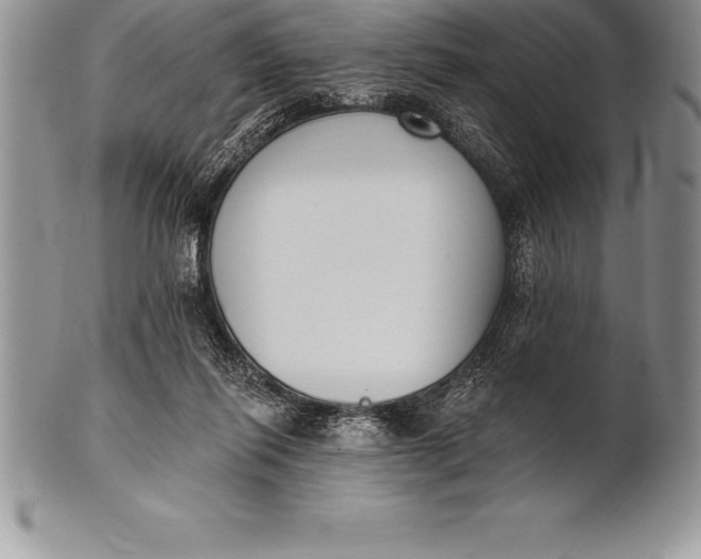 X0000100410262200806201806