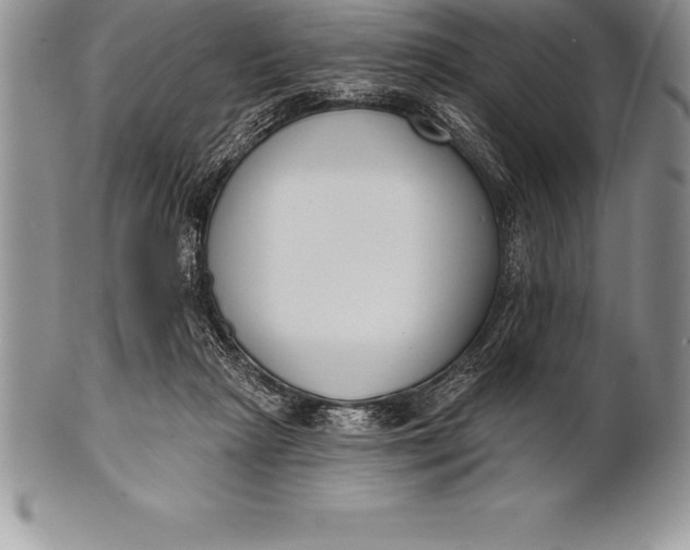 X0000100410265200806201806