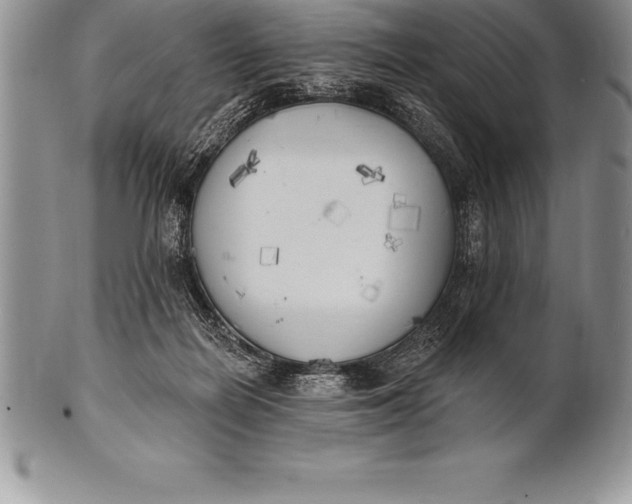 X0000100410266200806201806