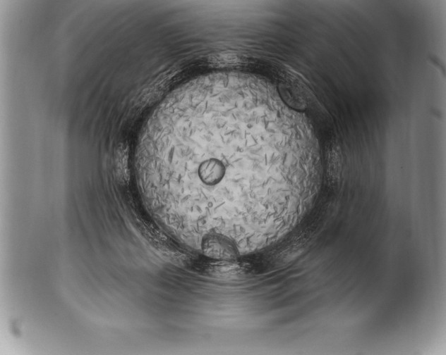 X0000100410267200806201806