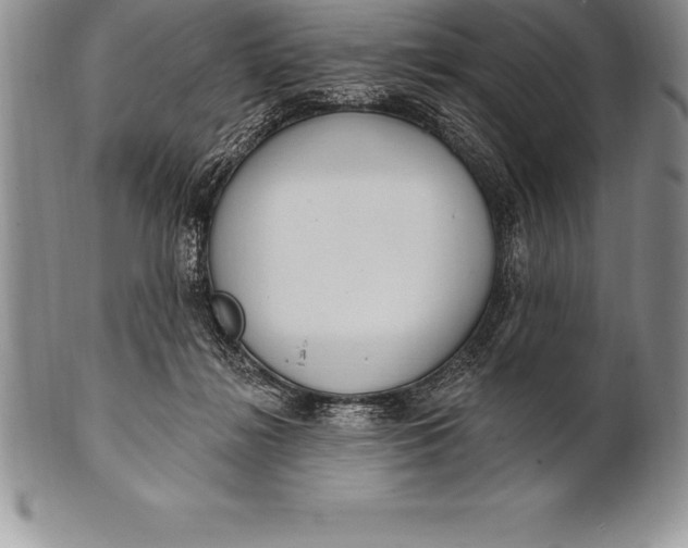 X0000100410268200806201806