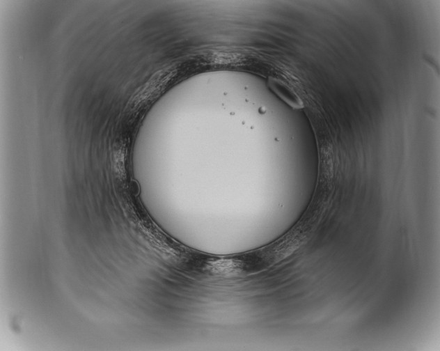 X0000100410269200806201806