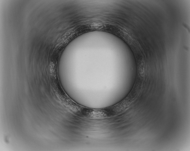 X0000100410270200806201806