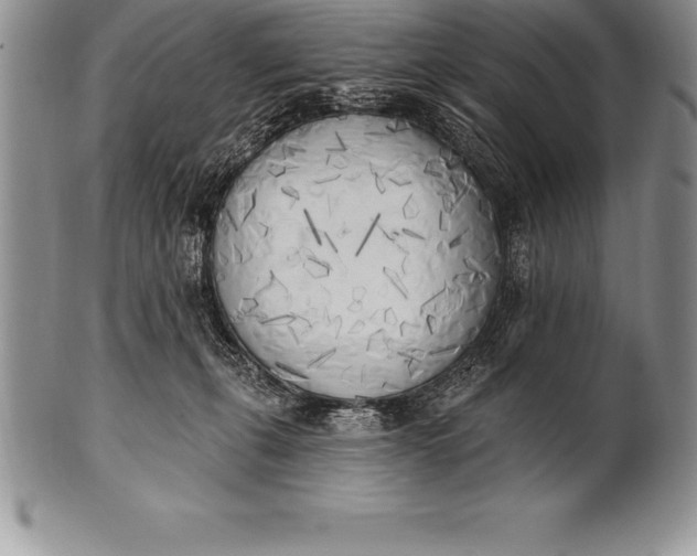 X0000100410271200806201806