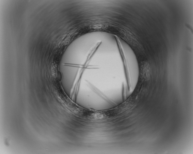 X0000100410272200806201806