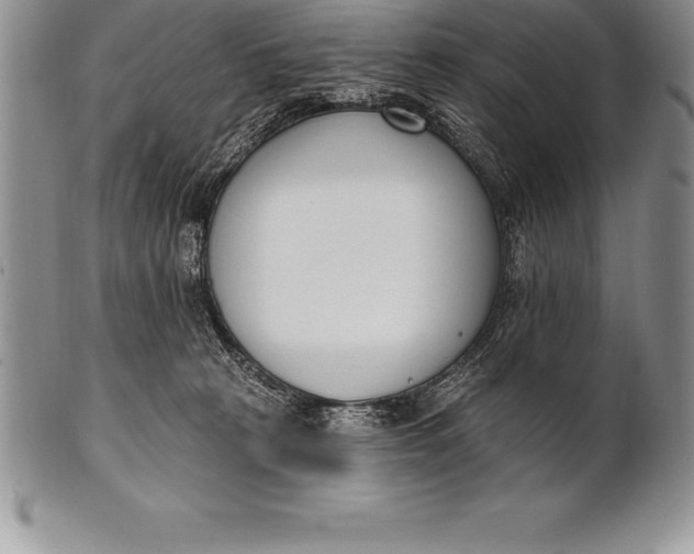 X0000100410273200806201806