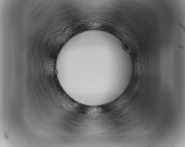 X0000100410274200806201806