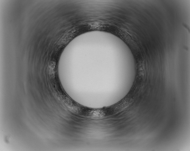 X0000100410275200806201806