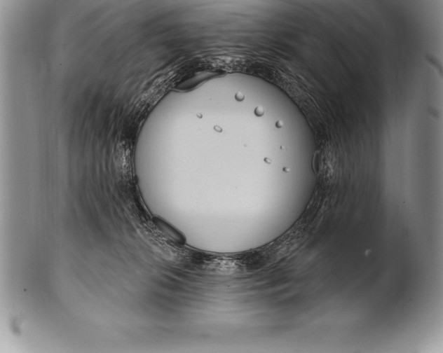 X0000100410276200806201806