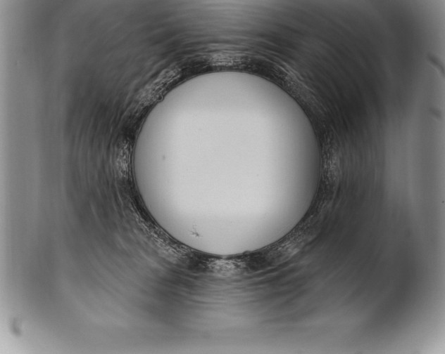 X0000100410277200806201806