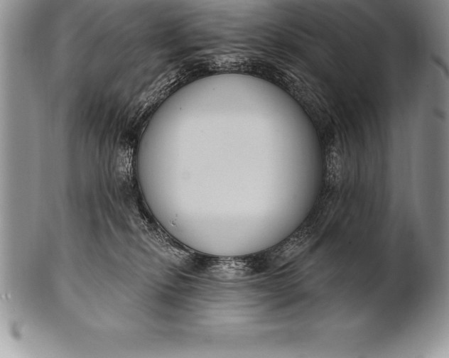 X0000100410278200806201806