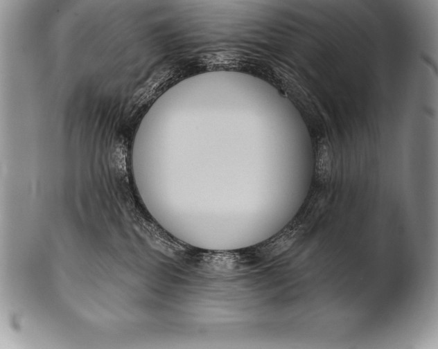 X0000100410282200806201806