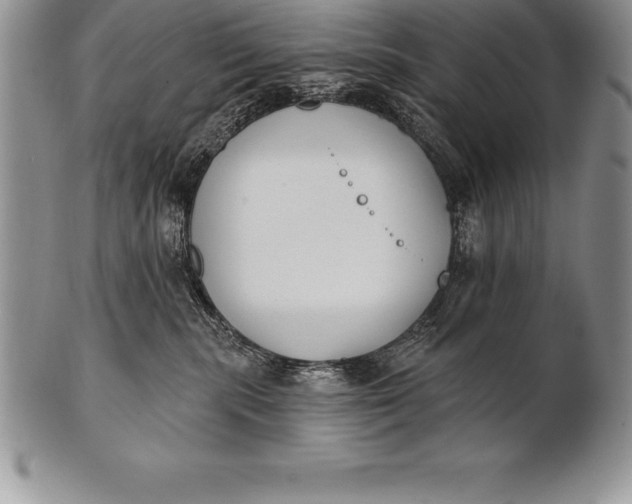 X0000100410283200806201806