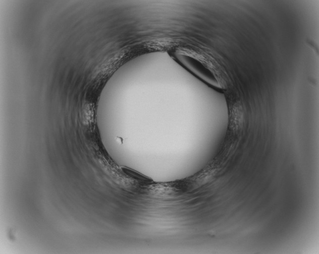 X0000100410284200806201806