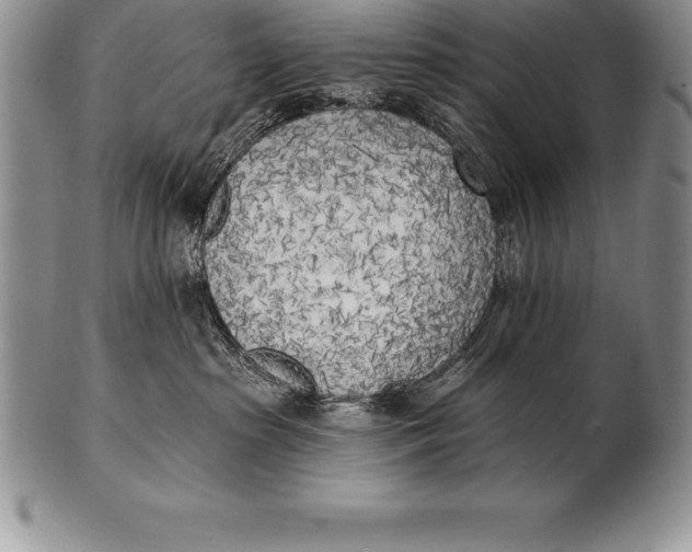 X0000100410285200806201806