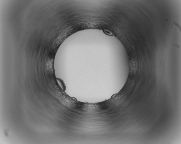 X0000100410286200806201806