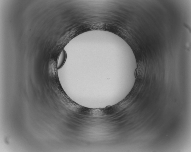 X0000100410287200806201806