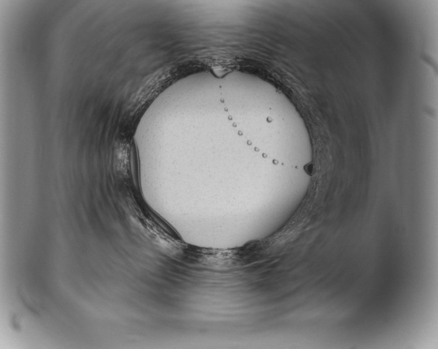 X0000100410288200806201806