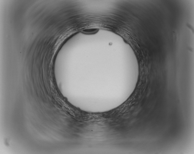 X0000100410289200806201805