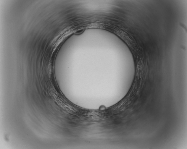 X0000100410290200806201805